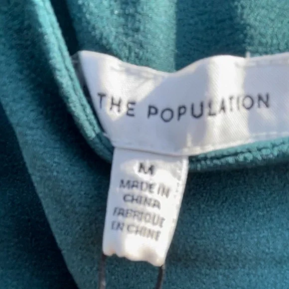 Dress The Population NWT - Picture 4 of 9